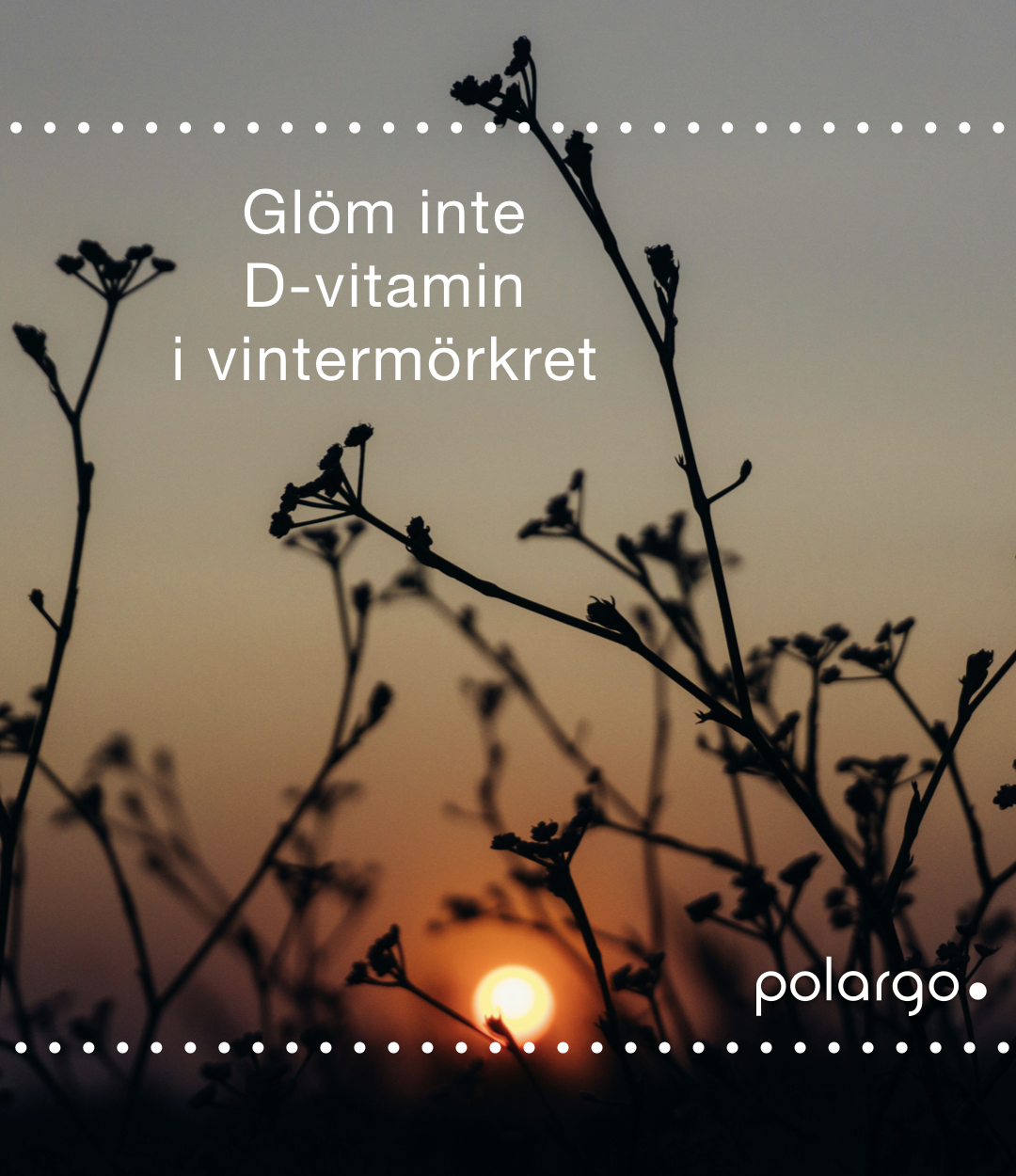 MÖRKARE TIDER - FYLL PÅ MED D-VITAMIN!
