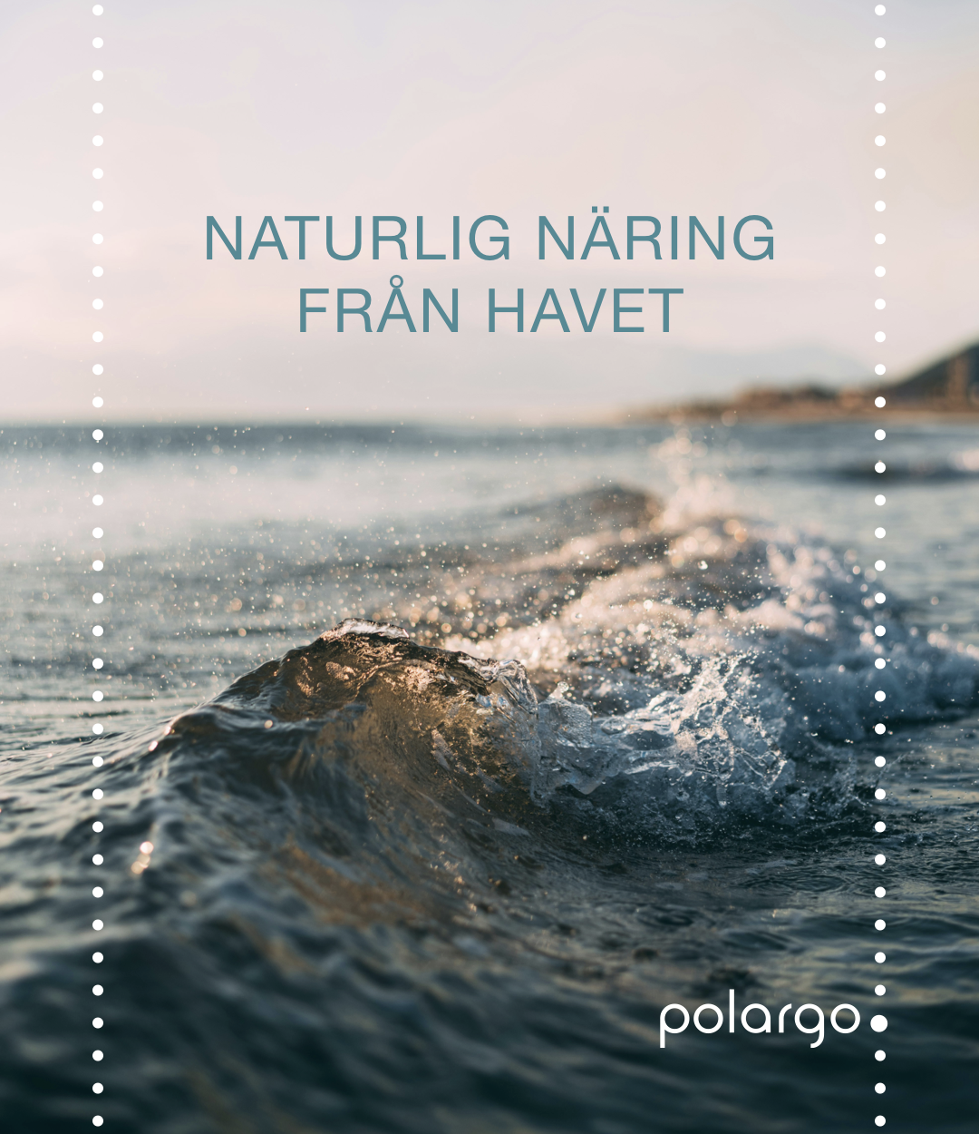 HAVETS KRAFT - FRAMTIDENS NÄRING 
