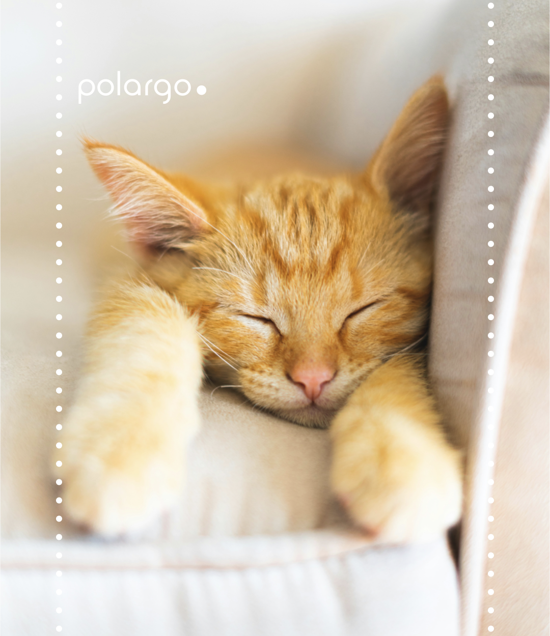 CATNAP, HØNEBLUND OR TUPPLUR?
WHAT DOES RECENT RESEARCH SAY?
