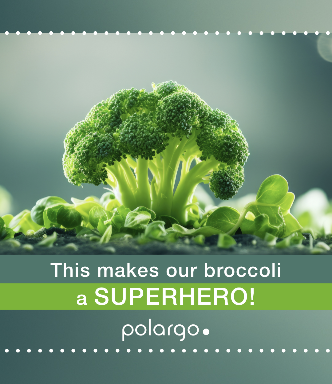 THIS MAKES BROCCOLI A SUPERHERO - UNIQUE PHYTONUTRIENTS!
