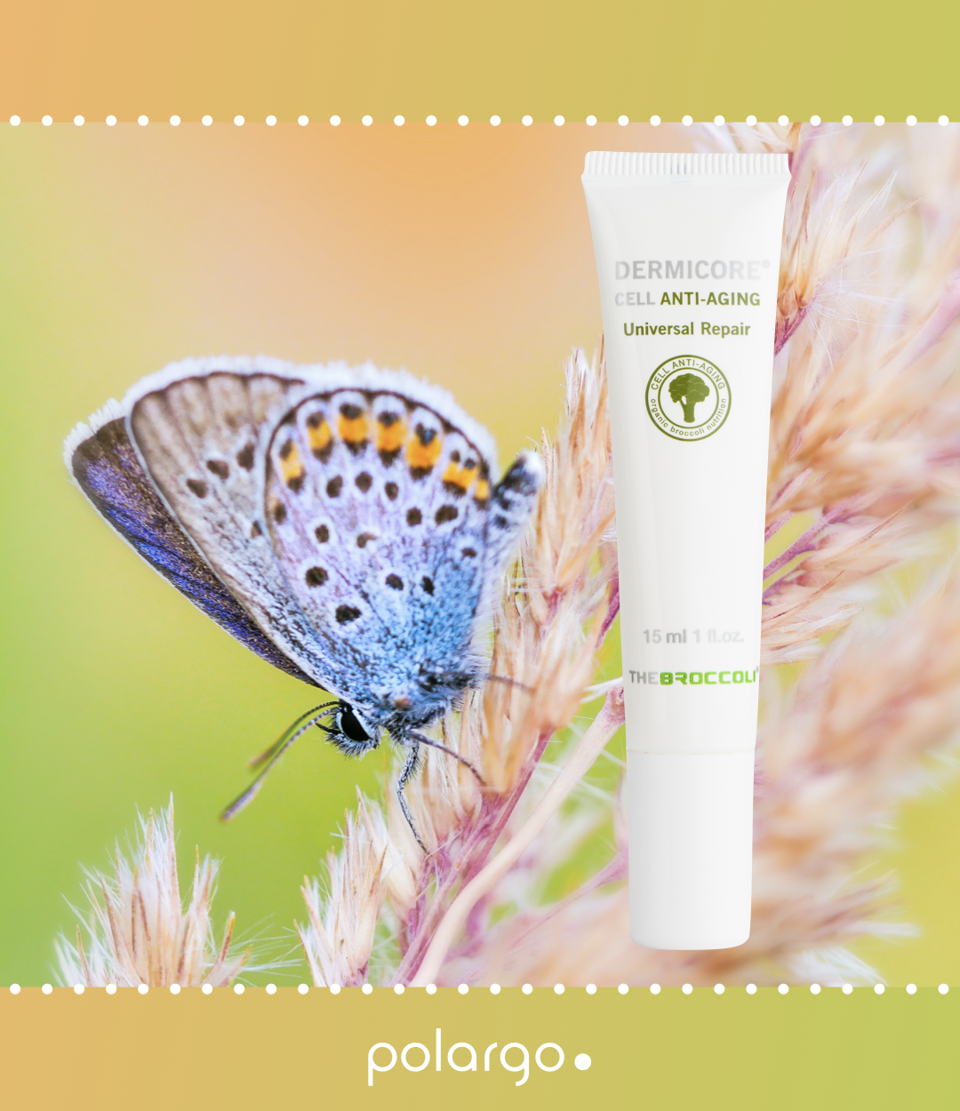 YOU CANNOT BE WITHOUT DERMICORE UNIVERSAL REPAIR
