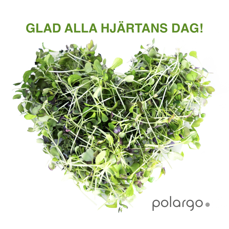 SYNERGI – ARGININ OCH CITRULLIN ❤️
